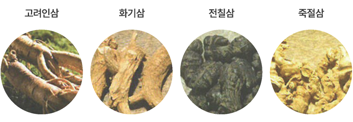 세계 인삼종류 이미지