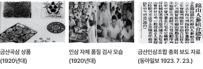 세계적 인삼농업의 중심지 금산인삼농업 이미지