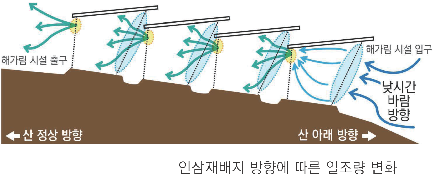 인삼재배지 방향에 따른 일조량 변화 이미지