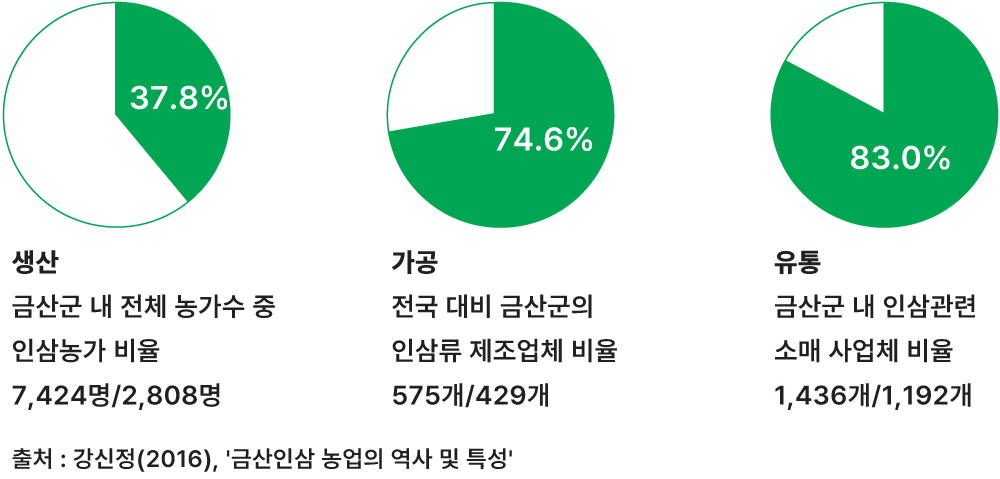 대한민국 인삼의 중심 이미지