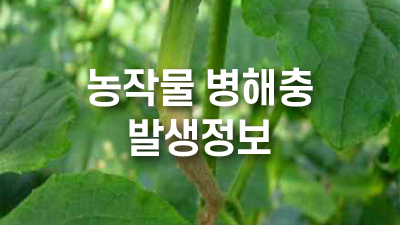 2025 농작물 병해충 발생정보