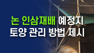 논 인삼재배 예정지 토양 관리 방법 제시