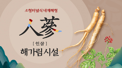 소형터널식 내재해형 인삼 해가림시설