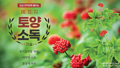 인삼 연작장해 줄이는 예정지 토양소독 기술