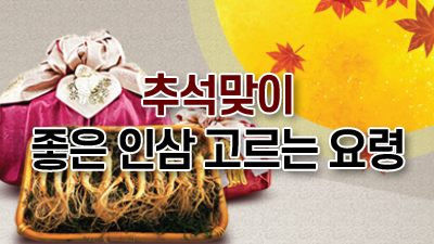 추석맞이 좋은 인삼 고르는 요령