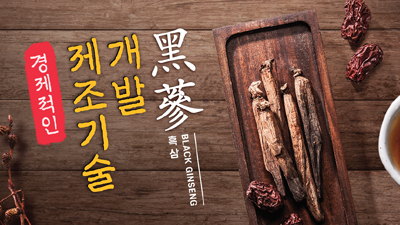 흑삼 경제적인 제조 기술 개발