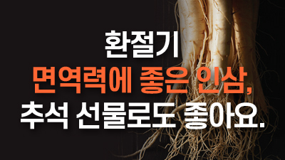 환절기 면역력에 좋은 인삼,추석선물로도 좋아요